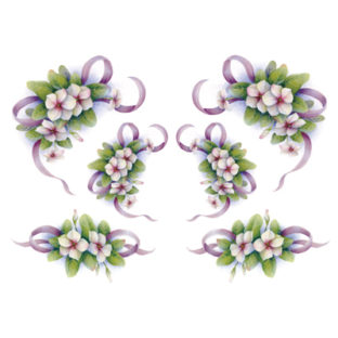 7247-2503 Pt Rikaデザイン トランスファーシール