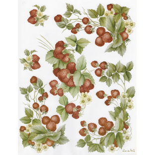 7852-7022 Pt クラッシックペーパー    022