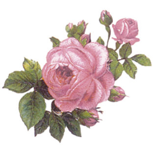 7000-1009 フラワー トランスファーシール  1009