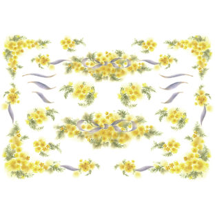 7196-1050 Pt 佐々木恵美 トランスシール 50