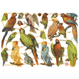 366-7303 Pt カットアウトプリント