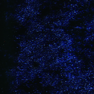 502-3005 ソフトベロア ネイビー