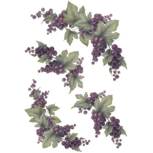 7247-2506 Pt Rikaデザイン トランスファーシール