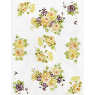 7852-7301 Pt クラッシックペーパー    001ーbis