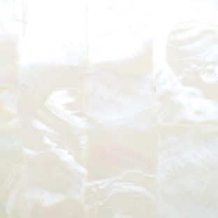 532-6003 らでんシート L  白蝶貝