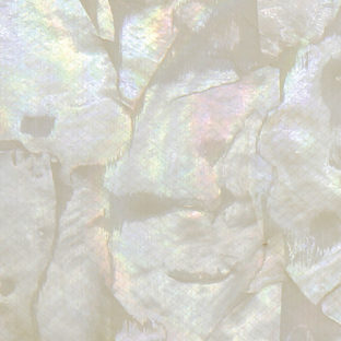 532-6009 らでんシート ハーフ あこや/クリーム