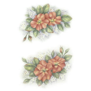 7247-2511 Pt Rikaデザイン トランスファーシール