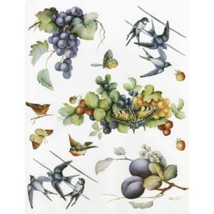 7852-7023 Pt クラッシックペーパー    023