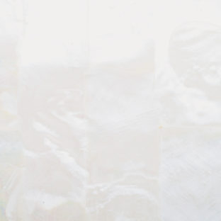 532-6006 らでんシート L  淡水真珠貝