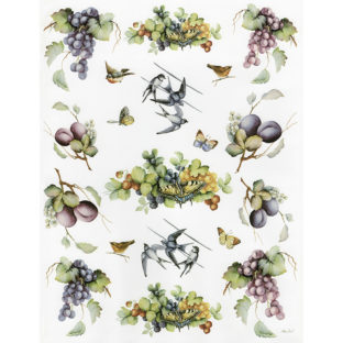 7852-7323 Pt クラッシックペーパー    023ーbis