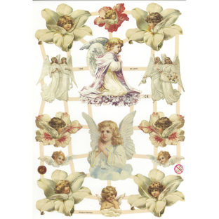 366-7348 Pt カットアウトプリント