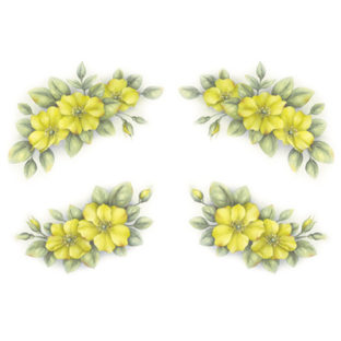 7247-2510 Pt Rikaデザイン トランスファーシール