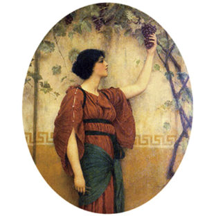 2000-1147 Pt シルクプリントLサイズ