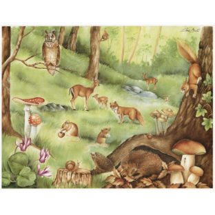 7852-7097 Pt クラッシックペーパー    097