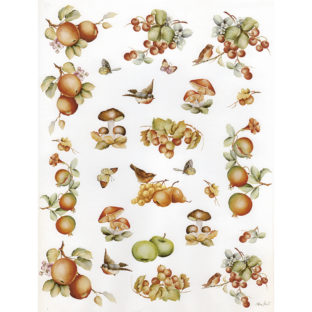 7852-7325 Pt クラッシックペーパー    025ーbis