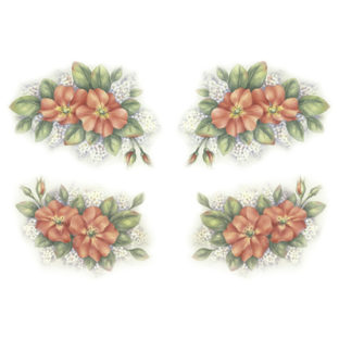 7247-2509 Pt Rikaデザイン トランスファーシール