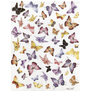 7852-7357 Pt クラッシックペーパー    057ーbis