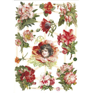 366-7102 Pt カットアウトプリント