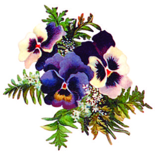 7000-1007 フラワー トランスファーシール  1007