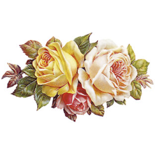 7000-1001 フラワー トランスファーシール  1001