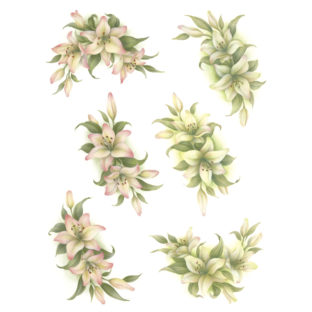 7247-2007 Pt Rikaデザイン プリント L