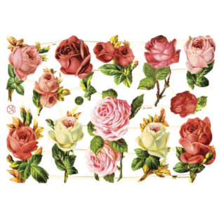 366-7362 Pt カットアウトプリント