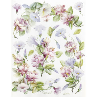 7852-7105 Pt クラッシックペーパー    105