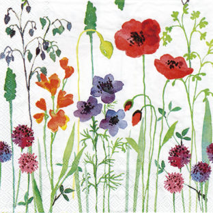 362-0334 Pt ペーパーナプキン  5枚入