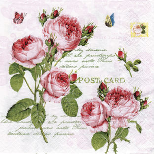 363-5034 Pt ペーパーナプキン 5枚入