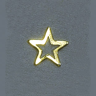 312-5086 カザリ カナグ スター S  2ヶ入