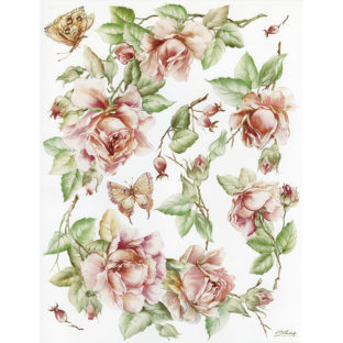 7852-7086 Pt クラッシックペーパー    086