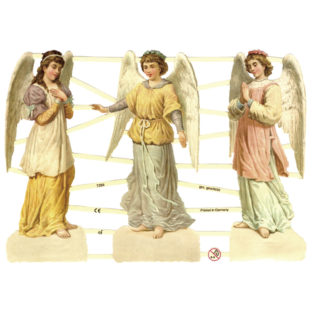 366-7284 Pt カットアウトプリント