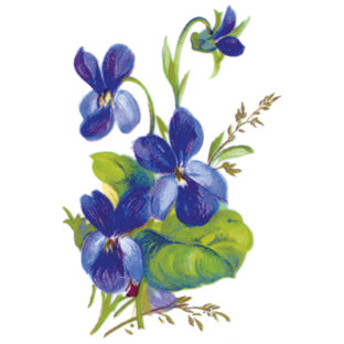 7060-6084 Pt トランスファープリント TPDー083