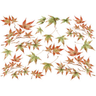 7196-1046 Pt 佐々木恵美 トランスシール 46