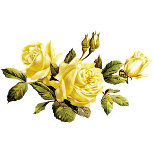 7000-1024 フラワー トランスファーシール  1024