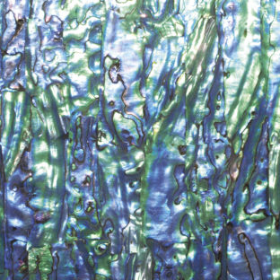 532-6065 らでんシート S  NZアワビ/ブラックA