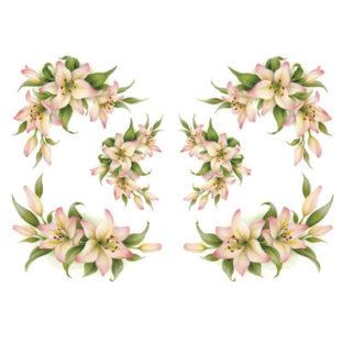 7247-2501 Pt Rikaデザイン トランスファーシール