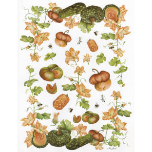 7852-7370 Pt クラッシックペーパー    070ーbis