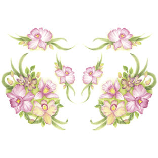 7241-0509 Pt 野又典子デザイン トランスシール