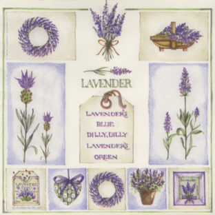 362-0090 Pt ペーパーナプキン  5枚入