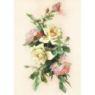 7852-1252 Pt デコパージュペーパー   S1252