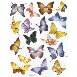 7852-7057 Pt クラッシックペーパー    057