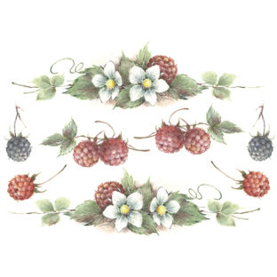 7196-1087 Pt 佐々木恵美 トランスシール 87