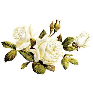 7000-1025 フラワー トランスファーシール  1025