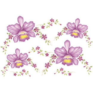 7241-0507 Pt 野又典子デザイン トランスシール