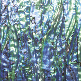 532-6015 らでんシート L  NZアワビ/ブラックA