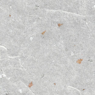 826-0007　金銀箔入り雲竜紙