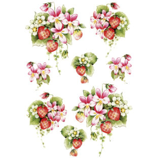 7196-1114 佐々木恵美 トランスファーシール