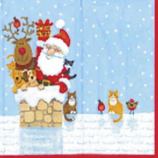 362-0220 Pt ペーパーナプキン  4枚入