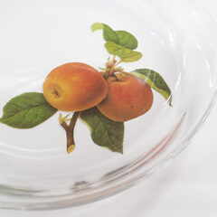 デコパージュに便利な接着剤①